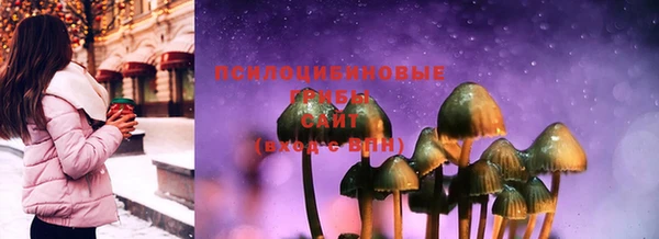 ПСИЛОЦИБИНОВЫЕ ГРИБЫ Белокуриха