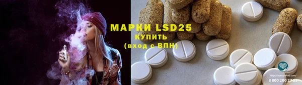 ПСИЛОЦИБИНОВЫЕ ГРИБЫ Белокуриха