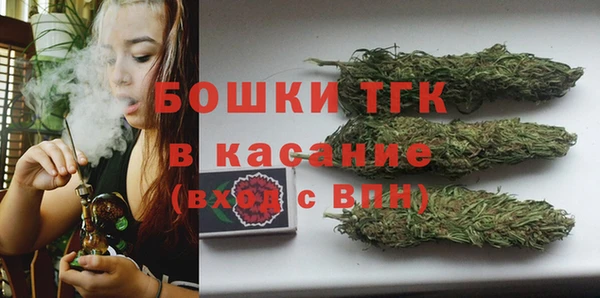 ПСИЛОЦИБИНОВЫЕ ГРИБЫ Белокуриха