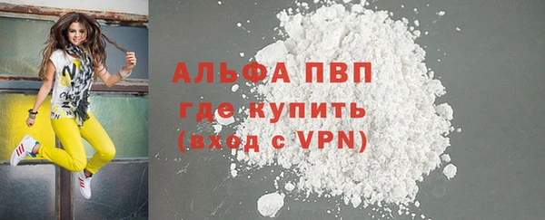 ПСИЛОЦИБИНОВЫЕ ГРИБЫ Белокуриха